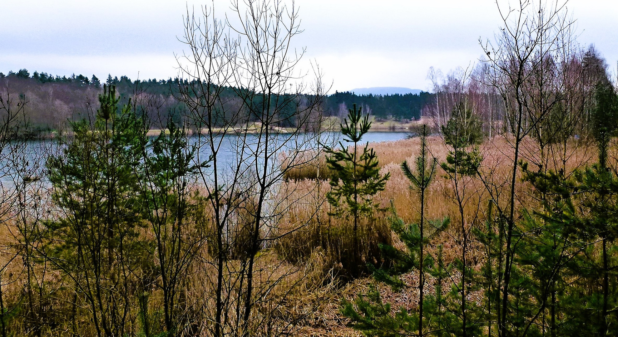 Durchblick zum Birkensee