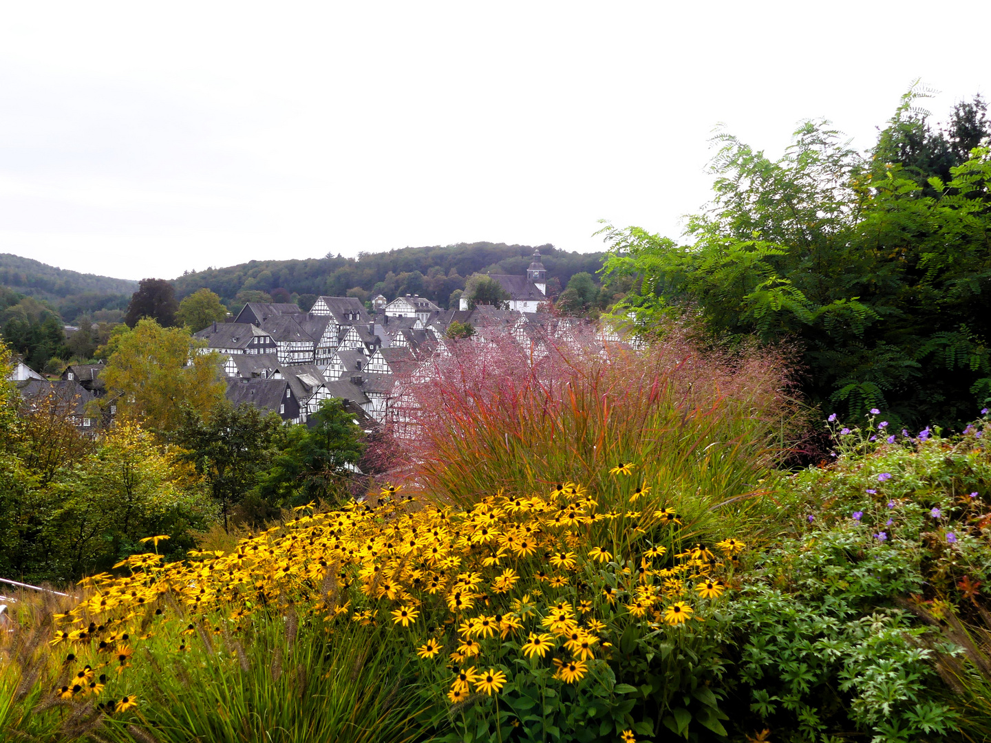 Durchblick zum Fachwerkensemble von Freudenberg