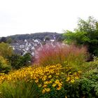 Durchblick zum Fachwerkensemble von Freudenberg