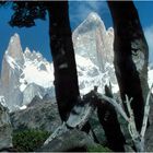 DURCHBLICK ZUM FITZ ROY