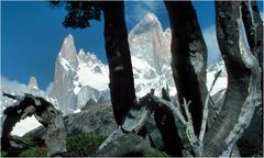 DURCHBLICK ZUM FITZ ROY