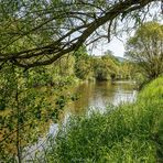  Durchblick zum Flusslauf