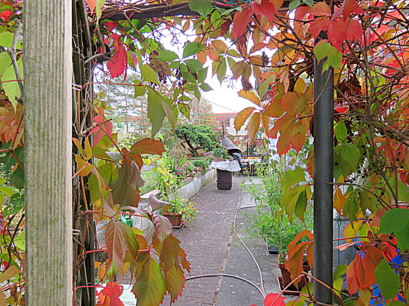 Durchblick zum Garten hinter dem Haus