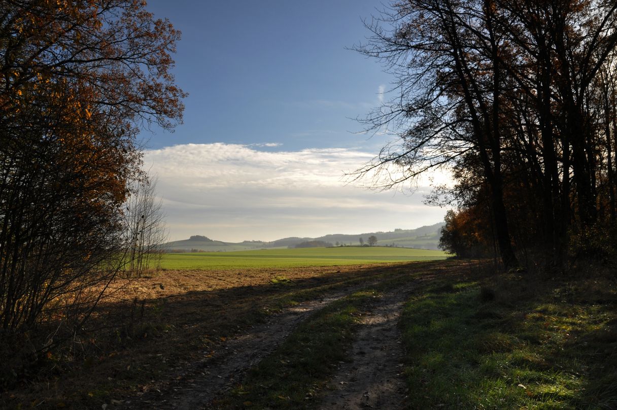 Durchblick zum Goethekopf