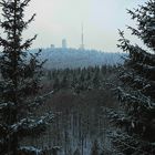 Durchblick zum Großen Inselsberg