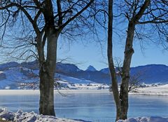 Durchblick zum Grossen Mythen