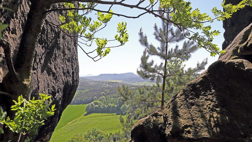 Durchblick zum Großen Zschirnstein, dem höchsten Berg der Sächsischen Schweiz