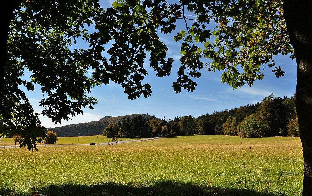 Durchblick zum Hochwald,