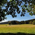 Durchblick zum Hochwald,