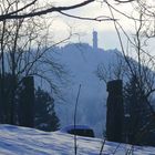 Durchblick zum Hochwaldturm 