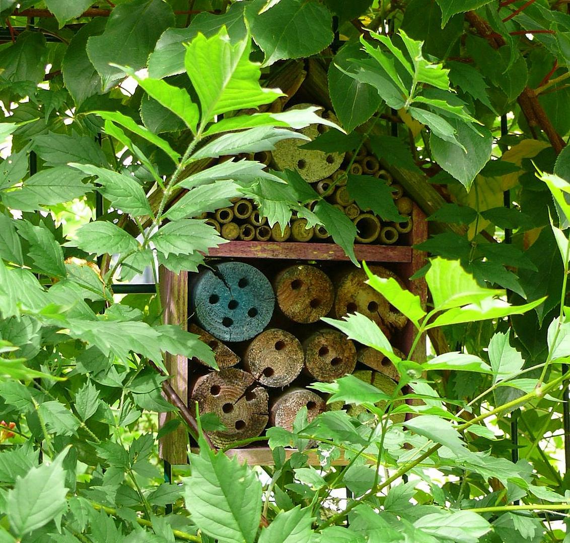 Durchblick zum Insektenhotel