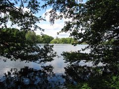 Durchblick zum Kiebitzsee