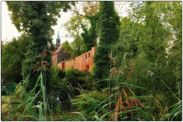 Durchblick zum Kloster Arendsee ...