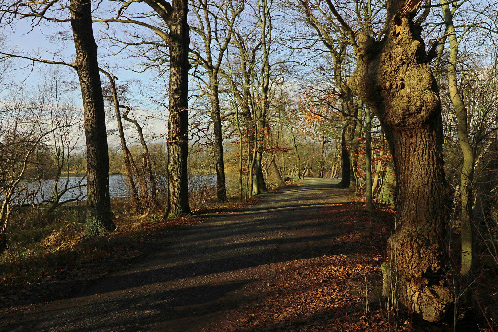 Durchblick zum Kreuzteich