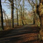 Durchblick zum Kreuzteich