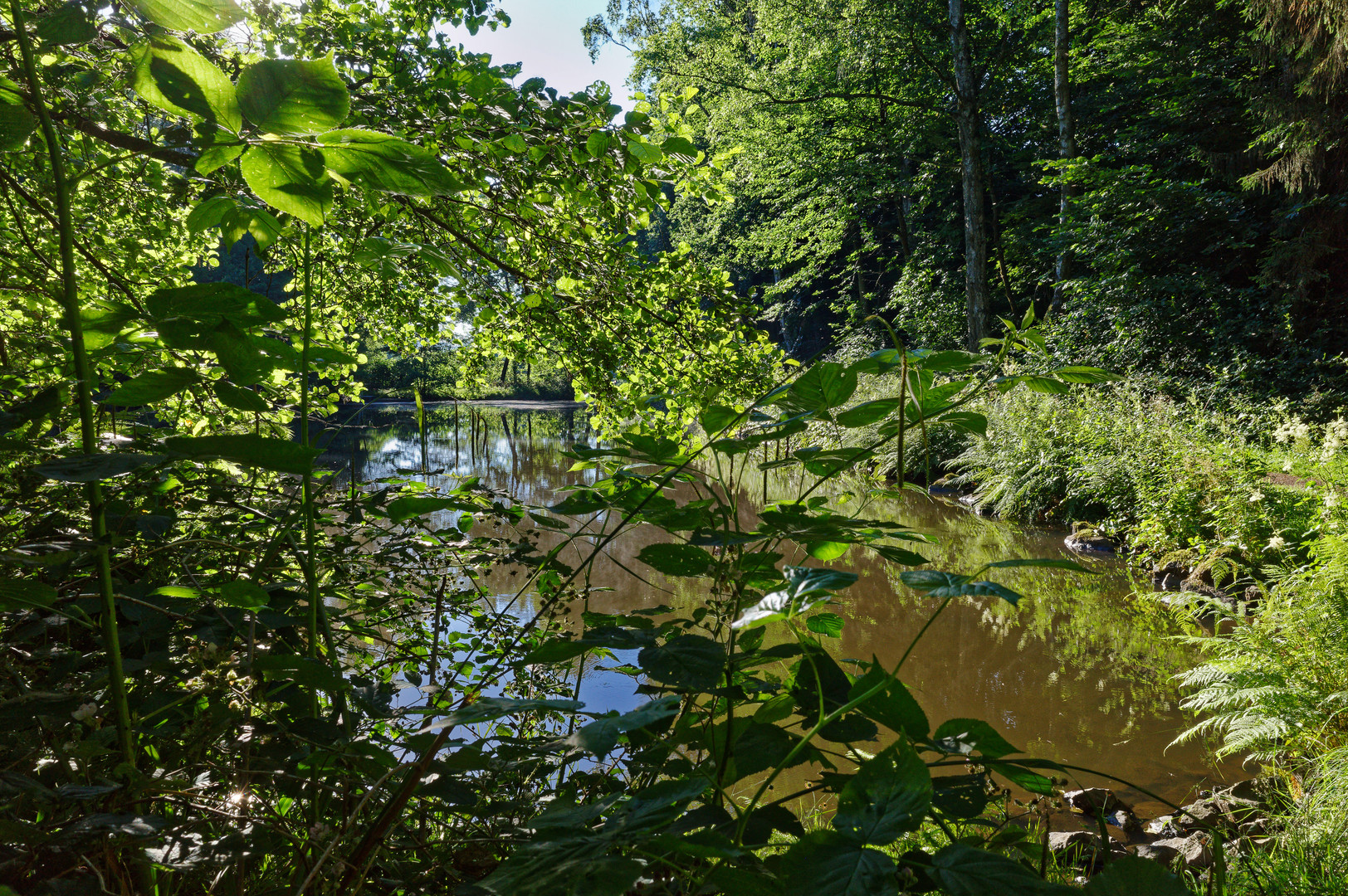 Durchblick zum Lasbachweiher