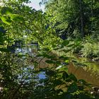 Durchblick zum Lasbachweiher