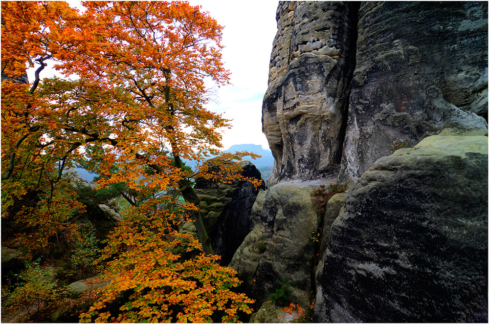 Durchblick zum Lilienstein