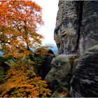 Durchblick zum Lilienstein