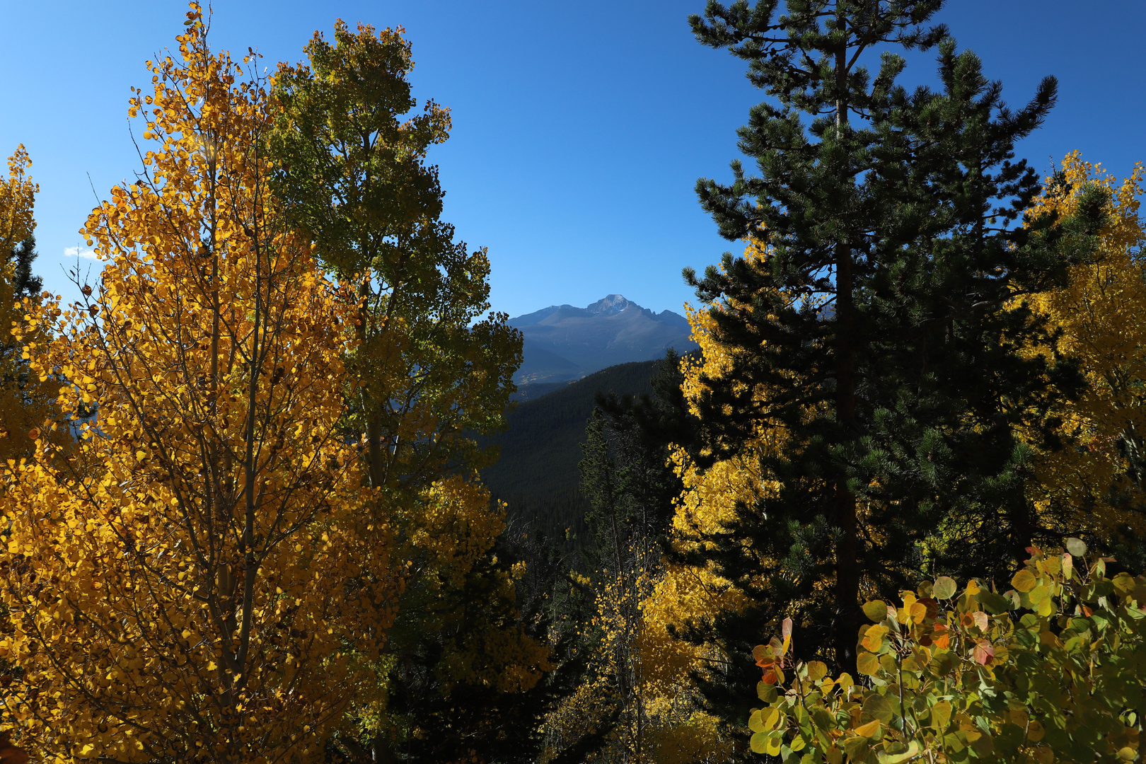 Durchblick zum Longs Peak...