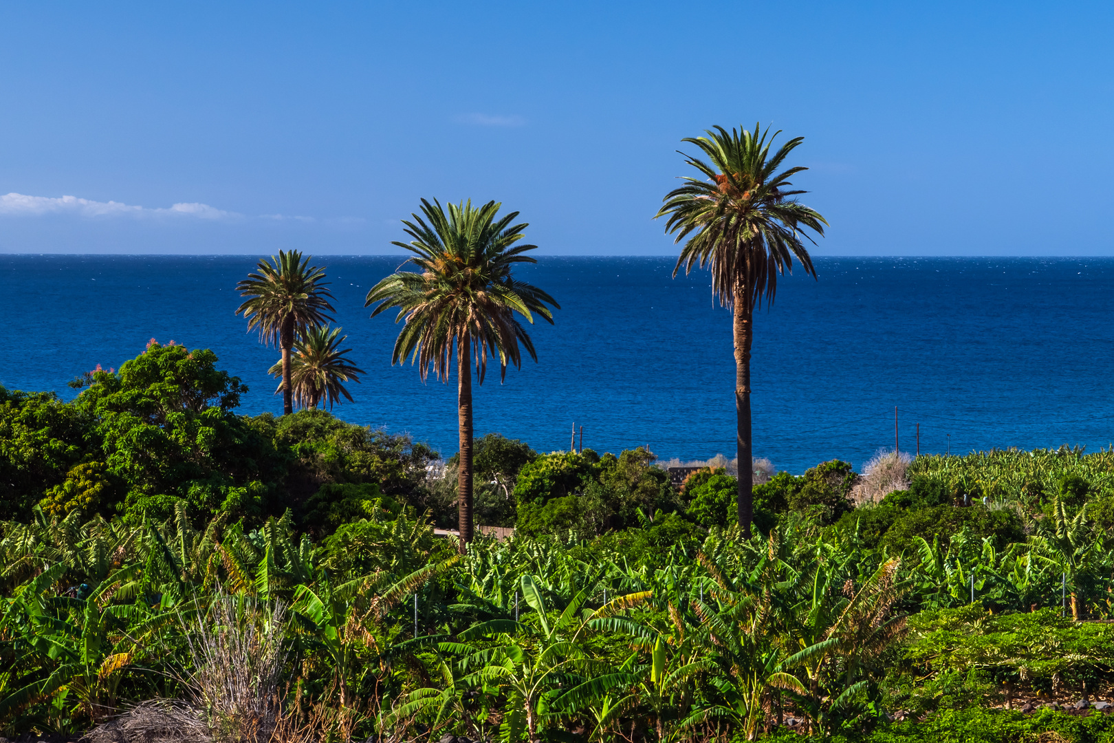 Durchblick zum Meer