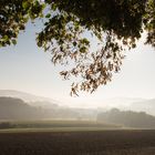 Durchblick zum Nebel