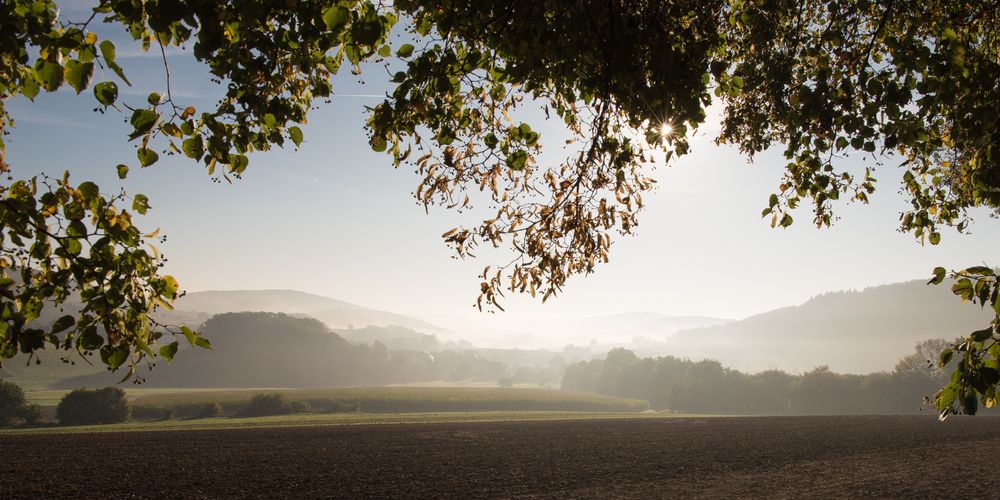 Durchblick zum Nebel