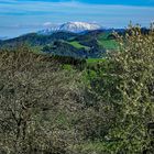 Durchblick zum Ötscher