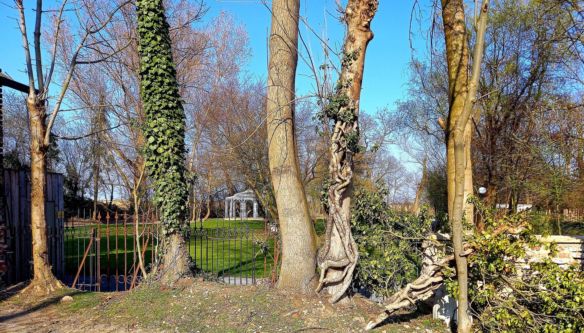 Durchblick zum Pavillon