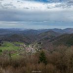 Durchblick zum Pfälzer Wald