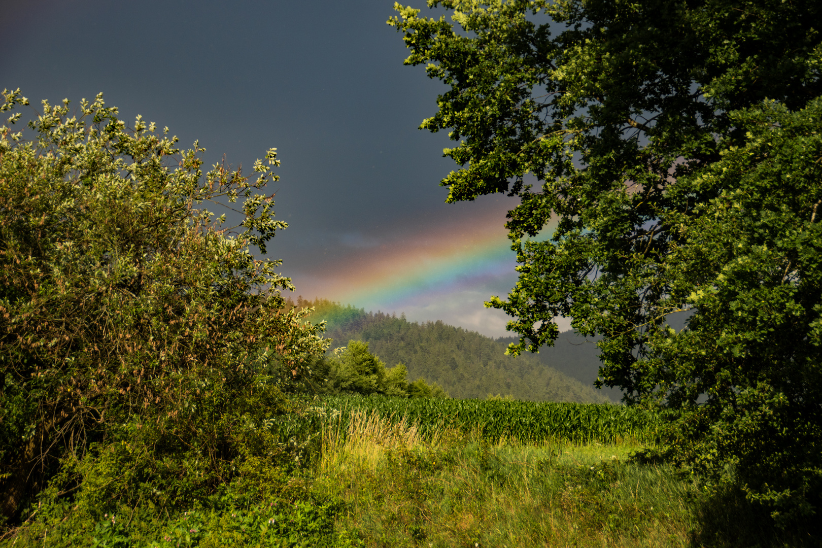 Durchblick zum Regenbogen