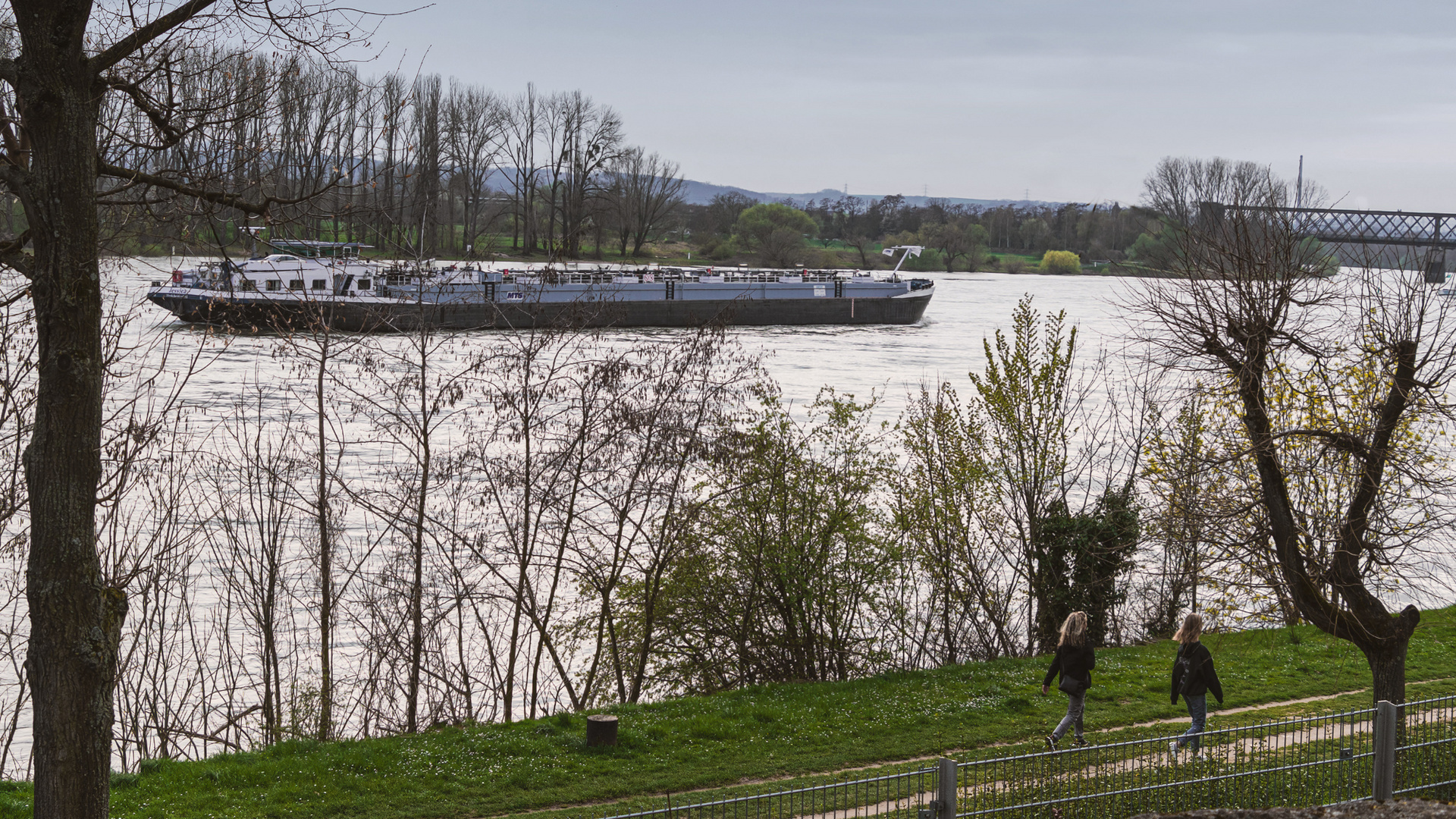 Durchblick zum Rhein