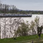 Durchblick zum Rhein