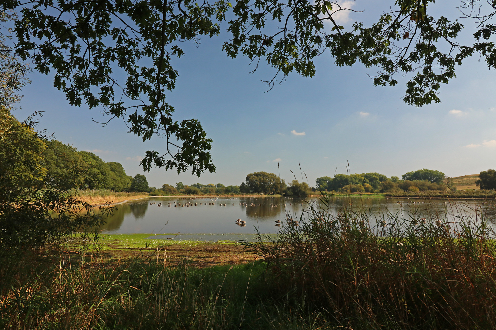 Durchblick zum Rieselteich