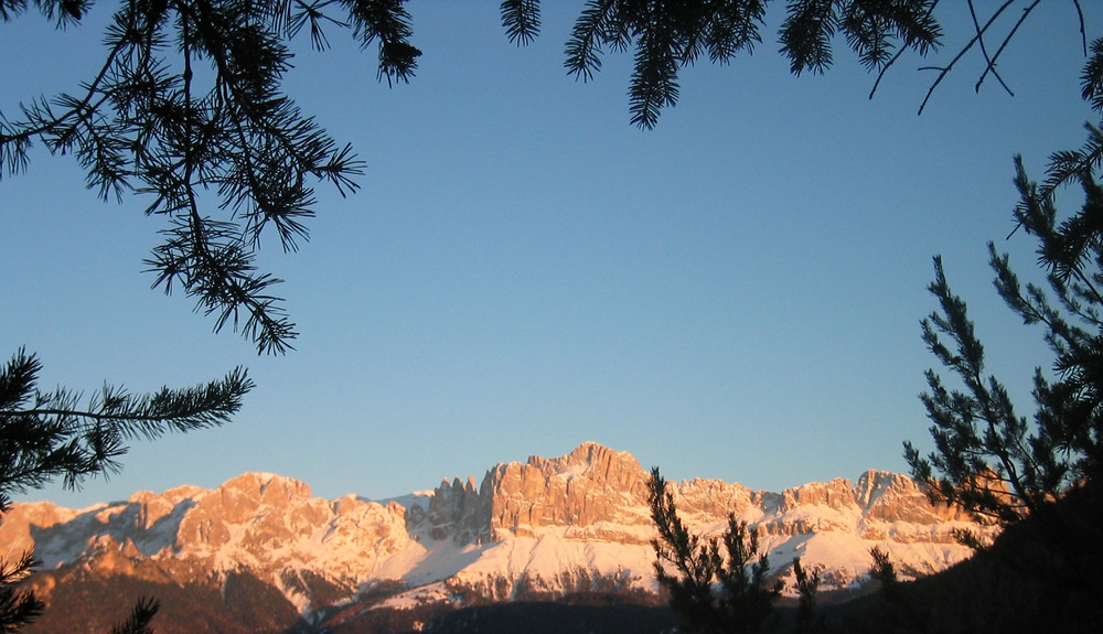 Durchblick zum Rosengarten