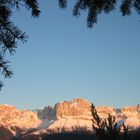 Durchblick zum Rosengarten