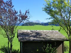 Durchblick zum Säntis