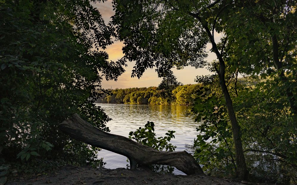 Durchblick zum Schlachtensee