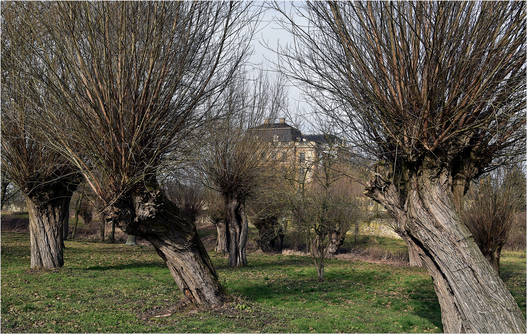 DURCHBLICK zum Schloss Dornburg