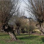 DURCHBLICK zum Schloss Dornburg