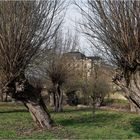 DURCHBLICK zum Schloss Dornburg