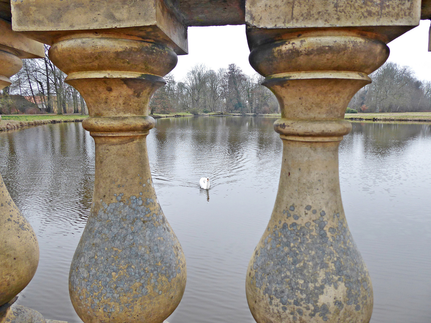 Durchblick zum Schwan