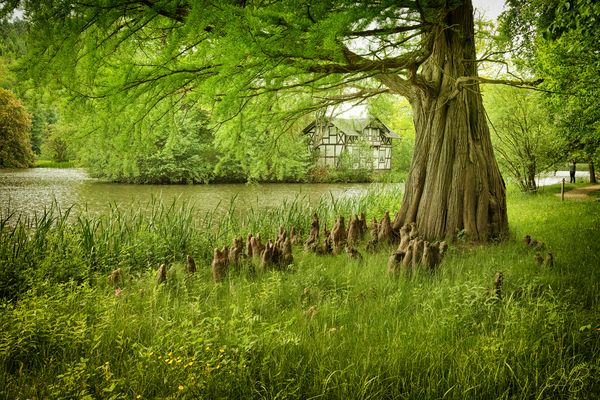 Durchblick zum Schwannenhaus