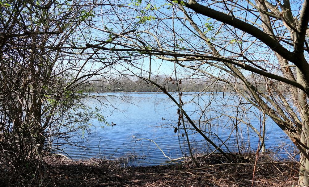 Durchblick zum See