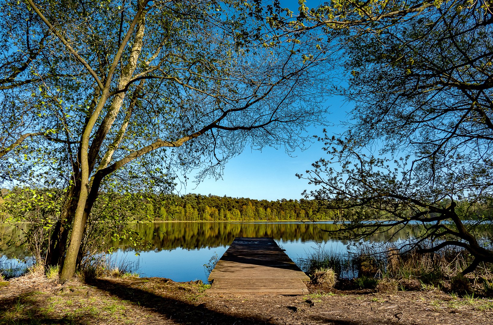 Durchblick zum See