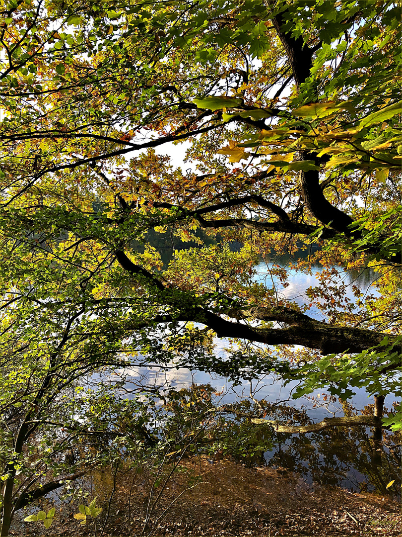 Durchblick zum See