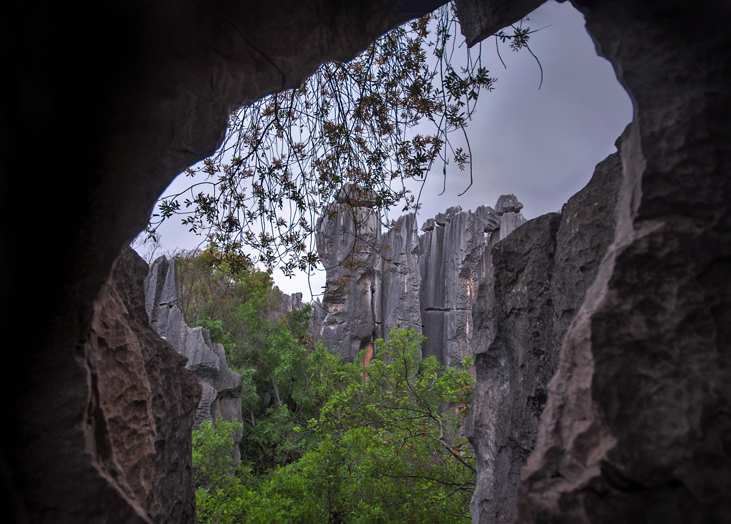 Durchblick zum Steinwald 