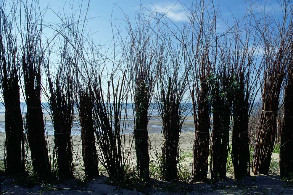 Durchblick zum Strand