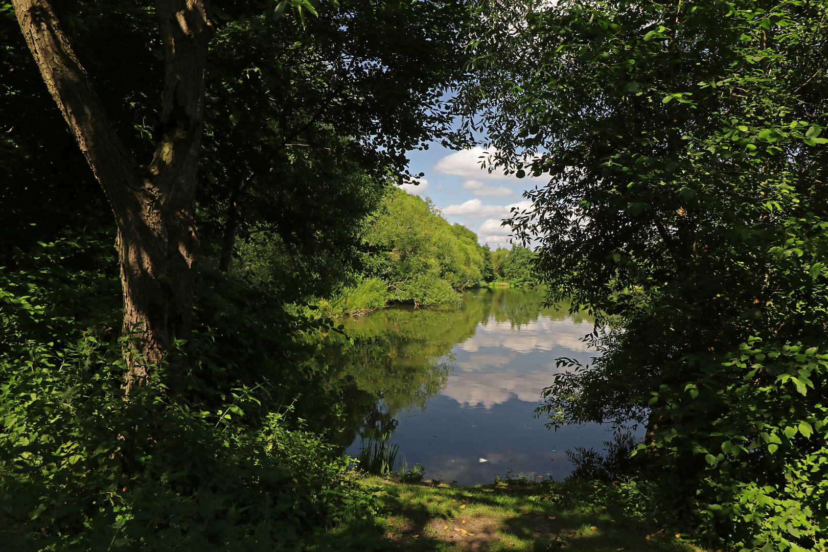 Durchblick zum Teich