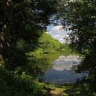 Durchblick zum Teich